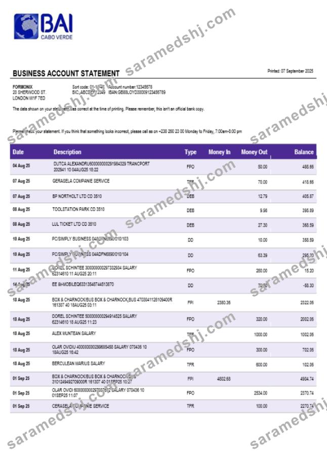 Banco Africano de Investimentos business bank statement Word and PDF format